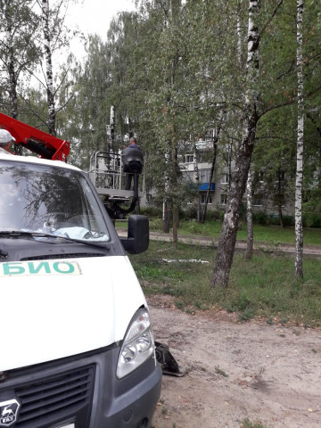 Опиловка аварийных деревьев по порубочному листу