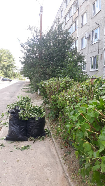 Стрижка кустарника