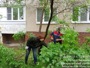 Опиловка кустарников мкр. Цемгигат