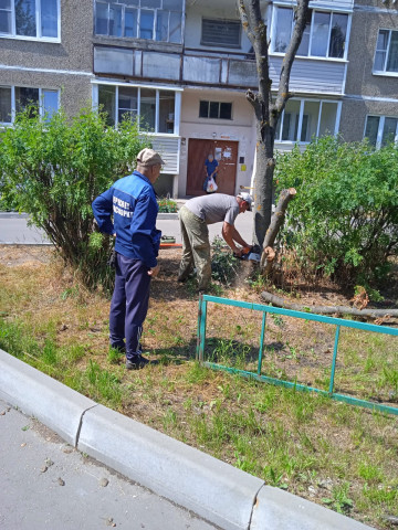 п. Фосфоритный, ул. Воинской славы, д.1 - опил сухих деревьев