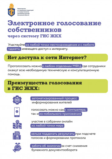 Электронное голосование