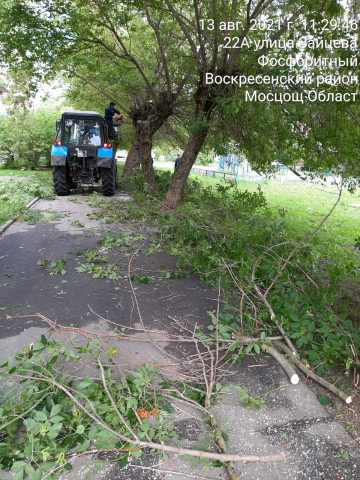 Опиловка деревьев в рп. Хорлово