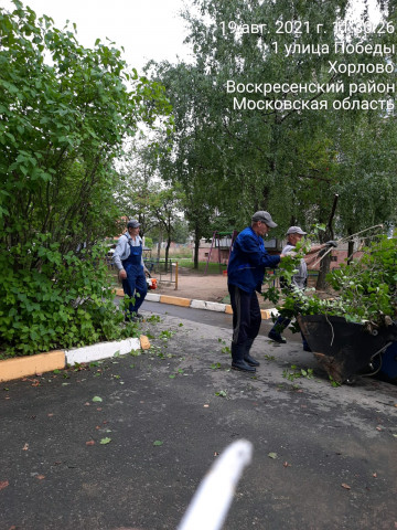 Обрезка деревьев