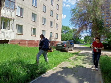 Окос травы мкр Цемгигант