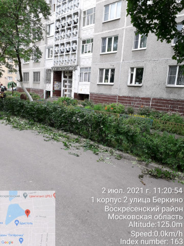 Санитарная обрезка кустарника на придомовой территории