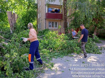 Распил, погрузка и вывоз порубочных остатков мкр. Цемгигант