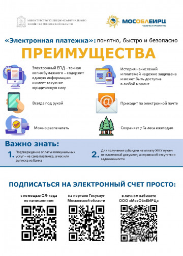 Электронная платежка