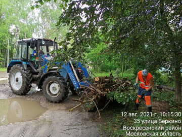 Уборка и вывоз порубочных остатков