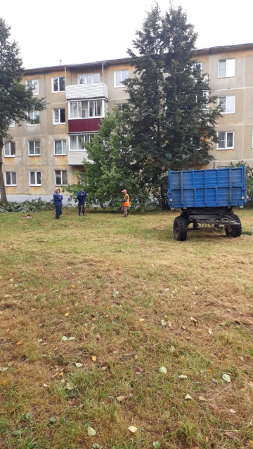 Вывоз порубочных остатков рп. Фосфоритный