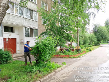 Опиловка кустарников на придомовой территории мкр. Цемгигант