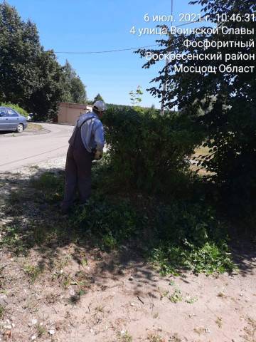 Обрезка и уборка кустарников в рп. Фосфоритный