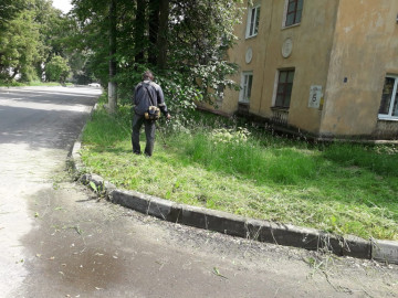 Окос придомовой территории мкр. Цемгиганта