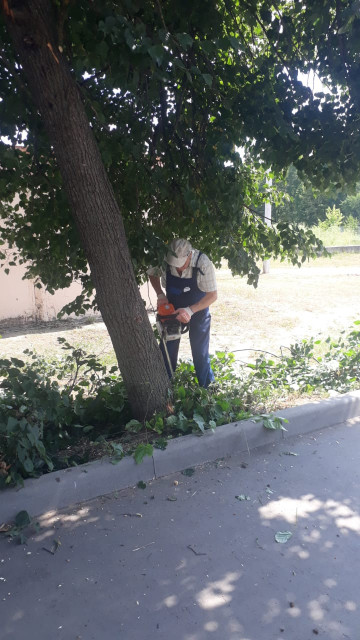 Опиловка дерева рп. Фосфоритный