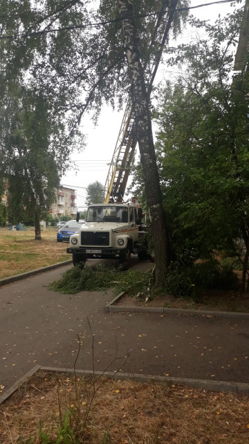 Опиловка деревьев рп. Фосфоритный