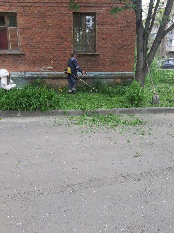 Приступили к косьбе на Гиганте