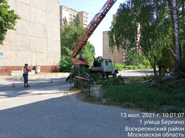 Опиловки аварийных деревьев