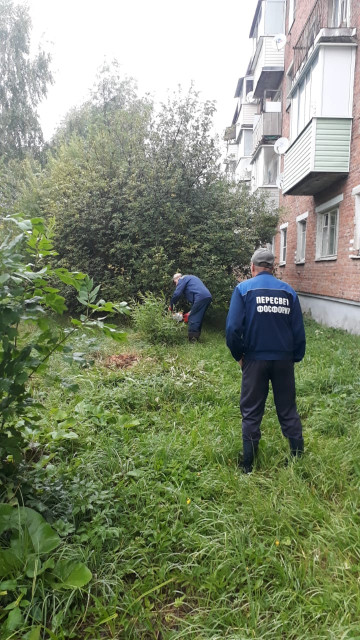 Опиловка кустарника рп. Фосфоритный