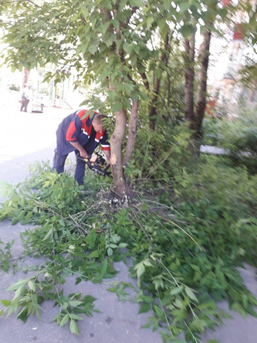 Опиловка поросли на придомовой территории мкр. Цемгигант