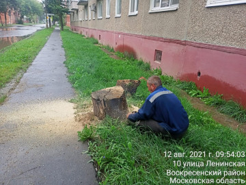 Удаление пеньков в мкр. Цемгигант