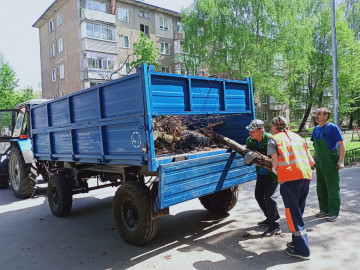 Вывоз порубочных остатков с адресов: Мичурина 9, Карла Маркса 18, Коломенская 3