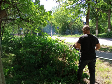 Санитарную обрезка кустарника в полисаднике д. 16а по ул.  Карла Маркса