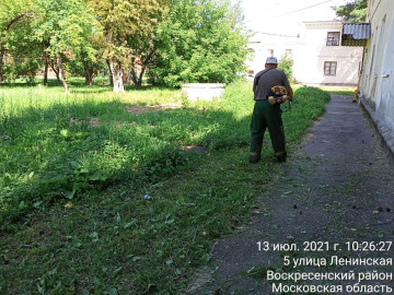 Окос придомовой территории