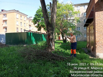 Вывоз порубочных остатков мкр. Цемгигант