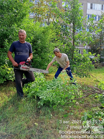 Спил сухих веток и обрезка кустарника