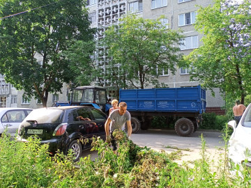 Вывоз порубочных остатков мкр. Цемгигант