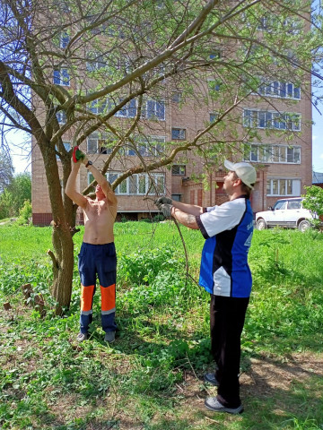 Опил мелкой поросли и сухих веток кустарника мкр. Цемгигант