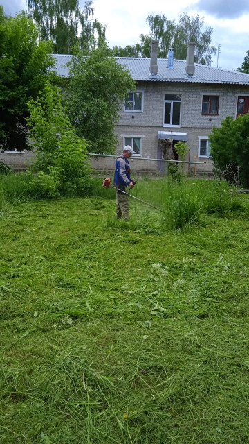 п. Фосфоритный, ул. Садовая, д. 33 - окос придомовой территории