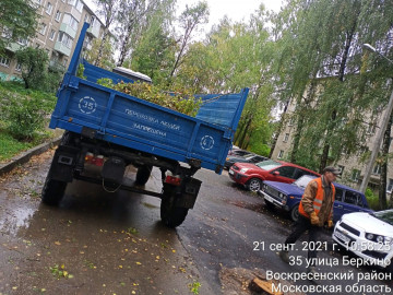 Уборка и вывоз порубочных остатков