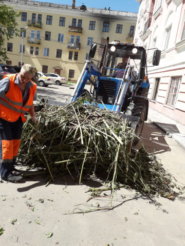 Уборка и вывоз порубочных остатков в мкр. Цемгигант