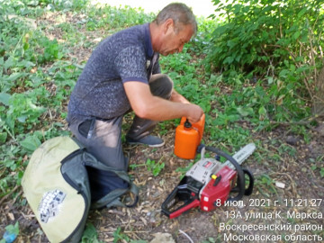 Вырезали поросль кустарника на придомовой территории