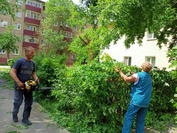 Санитарная обрезка кустарника вдоль пешеходных дорожек мкр. Цемгигант